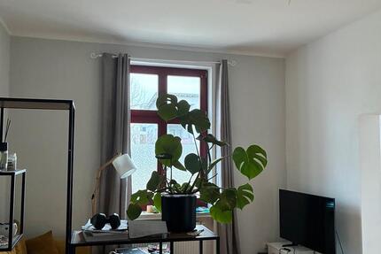 Wohnung Greifswald Groß Schönwalde - 2 Zimmer, 47 m&sup2;, 730&euro; | Angebot:24506572