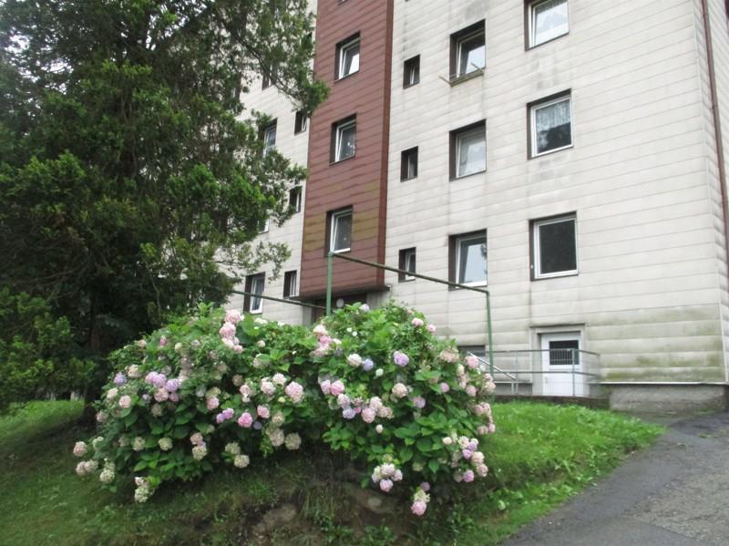 Renovierte 3 - Zimmer Wohnung in Stadtlage! zimmer