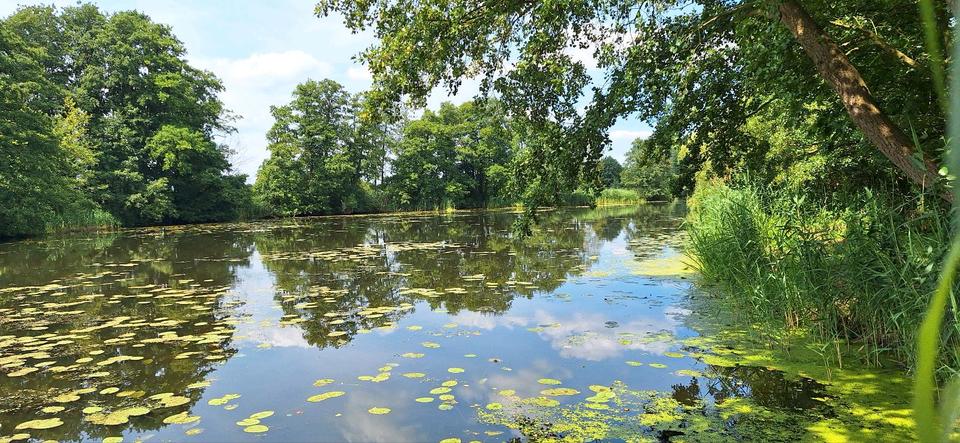 Bauernhaus, Landhaus Amt Neuhaus - 5 Zimmer, 144 m&sup2;, 1.300&euro; | Angebot:25572027