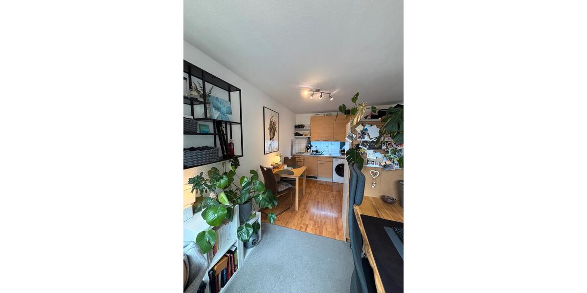 Etagenwohnung Ulm Söflingen - 1 Zimmer, 30 m&sup2;, 530&euro; | Angebot:26069428