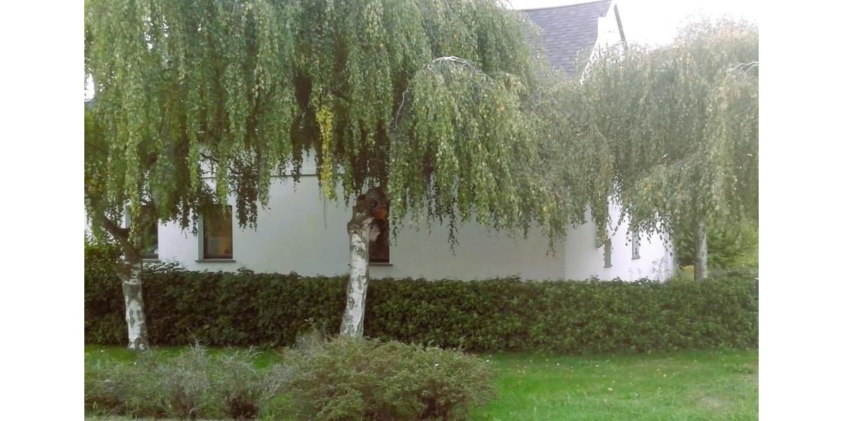 Haus zur Miete in Seenähe bei Senftenberg 4 zimmer