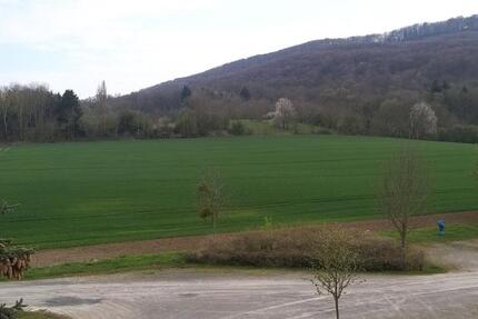 Wohnung Coppenbrügge - 2 Zimmer, 37 m&sup2;, 370&euro; | Angebot:24862363