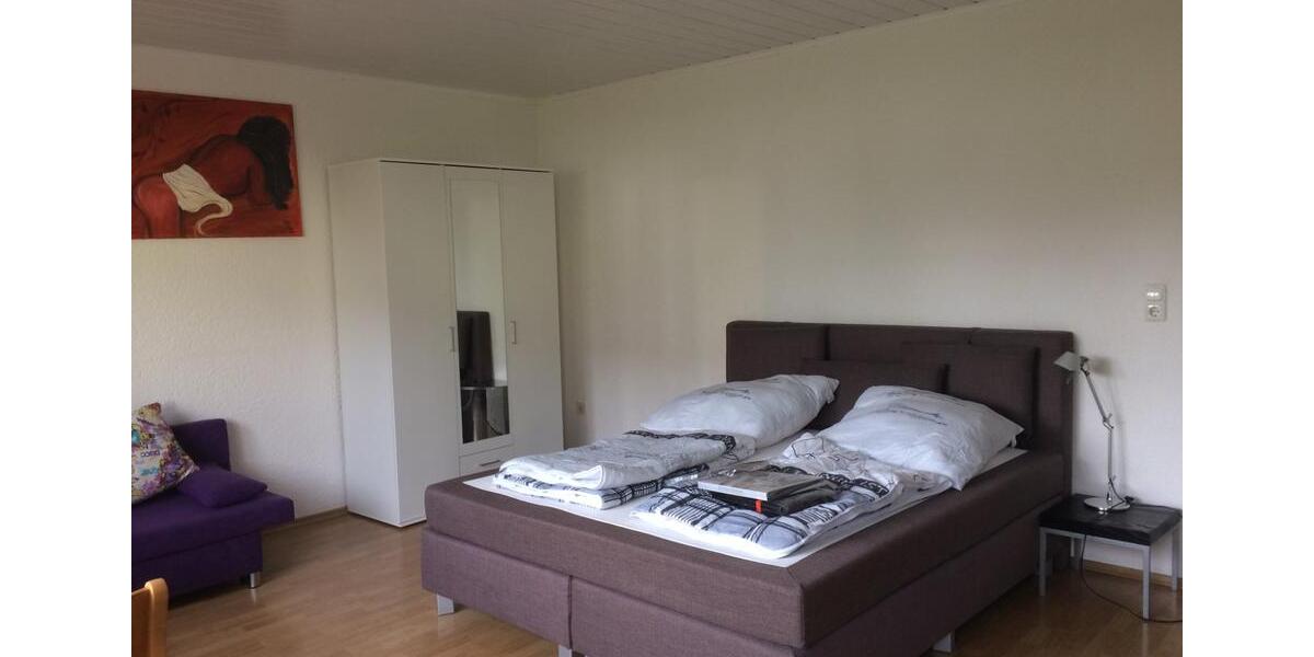Wohnen auf Zeit Mintraching - 1 Zimmer, 25 m&sup2;, 500&euro; | Angebot:24840902