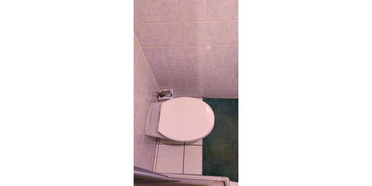 Dachgeschoßwohnung Bad Dürkheim - 1 Zimmer, 32 m&sup2;, 480&euro; | Angebot:24744196