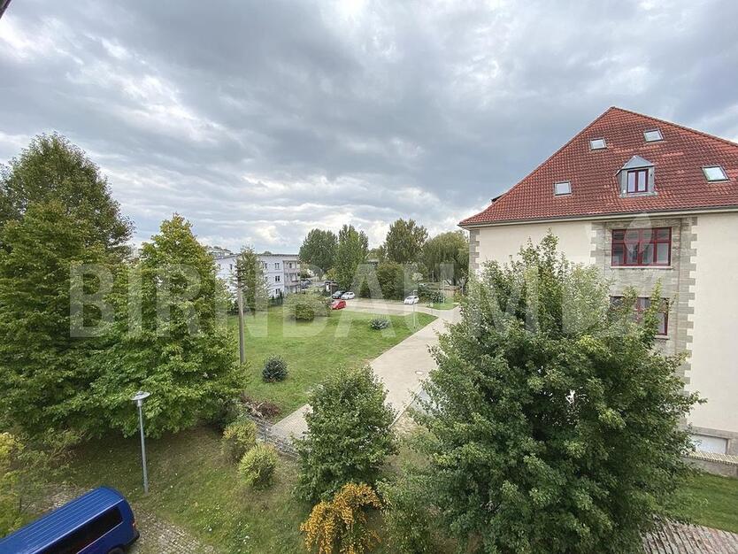 Helle 1-Zimmerwohnung im Dachgeschoss – Südstadt Greifswald zimmer