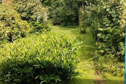 Wohnung Schenefeld - 2 Zimmer, 80 m&sup2;, 860&euro; | Angebot:25177409