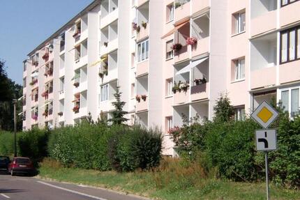 Wohnung Riesa - 2 Zimmer, 49 m&sup2;, 294&euro; | Angebot:26637282