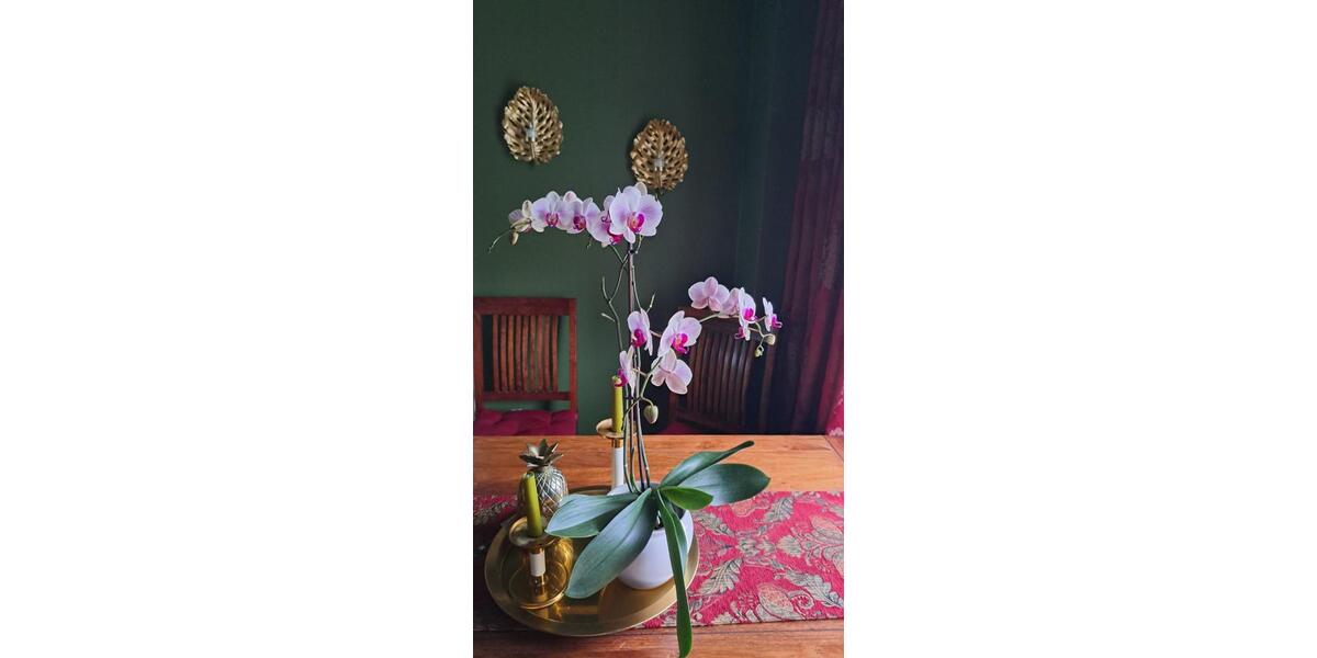 Wohnen auf Zeit Lübeck Sankt Lorenz Nord - 1 Zimmer, 10 m&sup2;, 570&euro; | Angebot:25350299