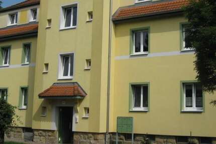 Wohnung Meuselwitz Falkenhain - 3 Zimmer, 54 m&sup2;, 225&euro; | Angebot:24639402