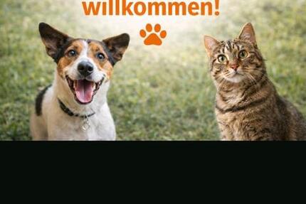 * 2,5 helle, Ruhige, Kinder- & Tierfreundliche DG-Wohnung * 2 zimmer