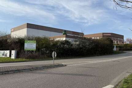 Gewerbeobjekt Leingarten - 20.500&euro; | Angebot:22524470