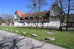 Schöne Aussichten gesucht? Wohnen am Kurpark mit Blick auf das Gradierwerk + Tierpark! 3 zimmer