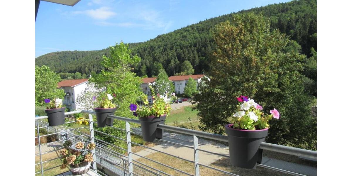 Etagenwohnung Immendingen - 4.5 Zimmer, 96 m&sup2;, 990&euro; | Angebot:25935955