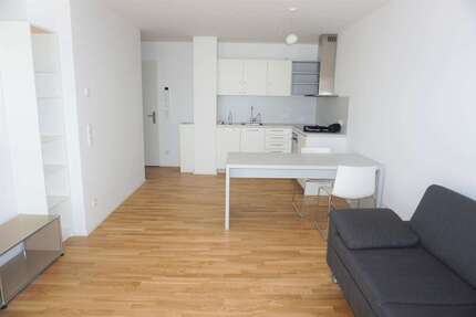 Wohnung Frankfurt am Main Altstadt - 1.5 Zimmer, 39 m&sup2;, 955&euro; | Angebot:27072535