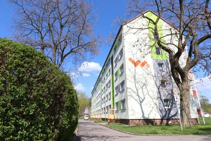 Geräumige, helle 2-Raum-Wohnung mit Balkon und Blick über Park 2 zimmer