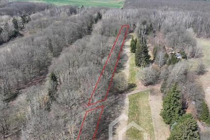 Kompakter Laubmischwald ca. 1.740 m² bei Sangerhausen - Idylle pur in der Waldsiedlung zimmer