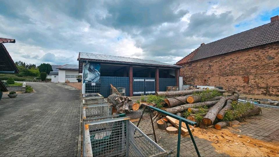 Gewerbeobjekt Weida - 350&euro; | Angebot:26648782