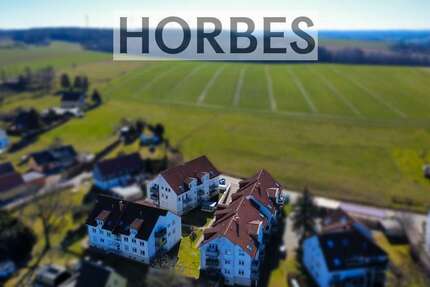 Wohnung zum Mieten in Glauchau Reinholdshain 245 € 35 m² 1 zimmer