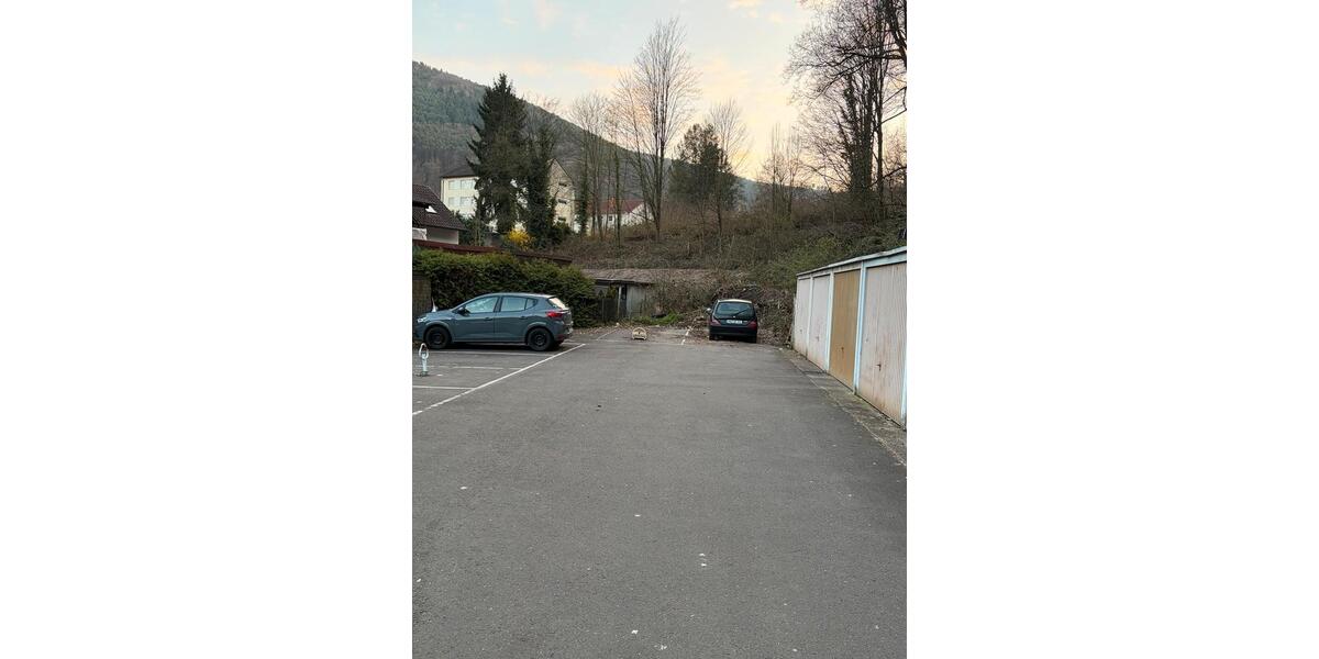 Wohnen auf Zeit Neustadt an der Weinstraße Diedesfeld - 3 Zimmer, 60 m&sup2;, 1.500&euro; | Angebot:25859727