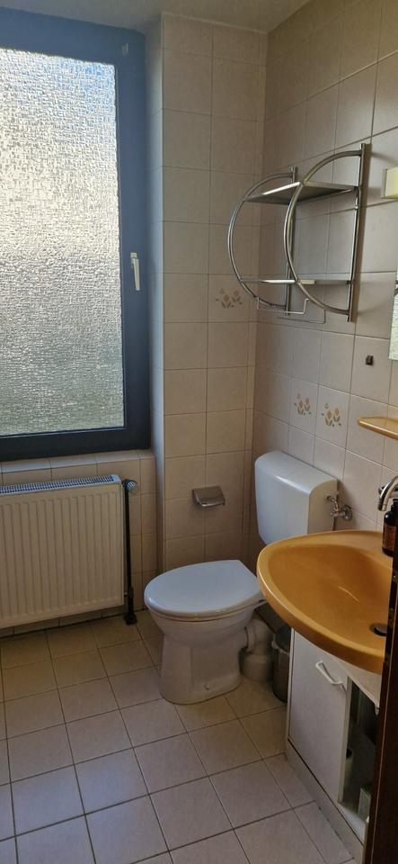 Gemütliche 1-Zimmer Wohnung am Waldesrand zum Vermieten zimmer