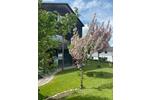 Gewerbeobjekt Marktoberdorf - 15&euro; | Angebot:26629263
