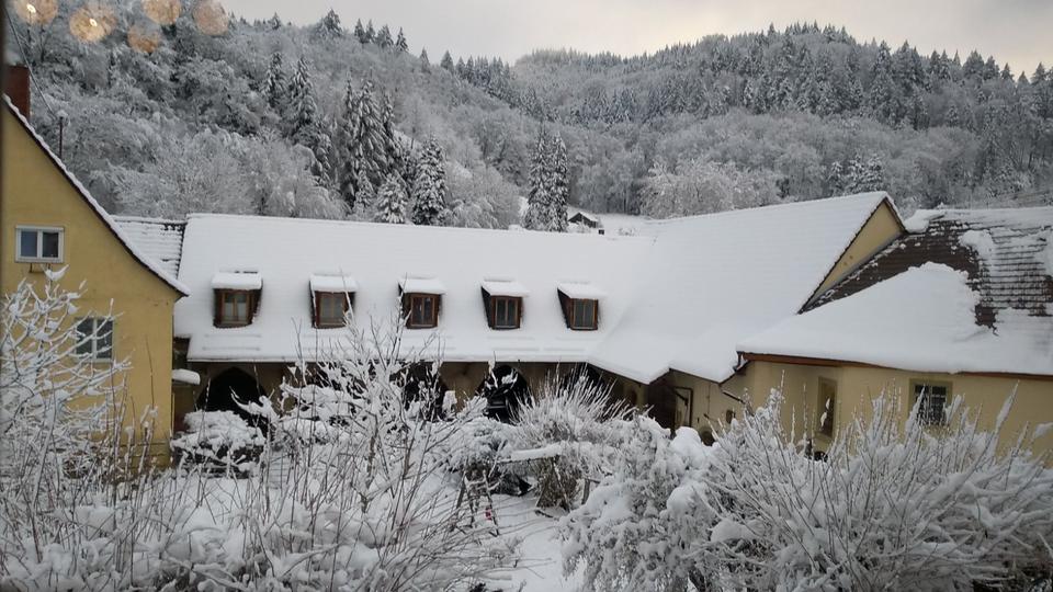 Musiker aufgepasst: 4 Zimmer Wohnung in Sulzburg 4 zimmer
