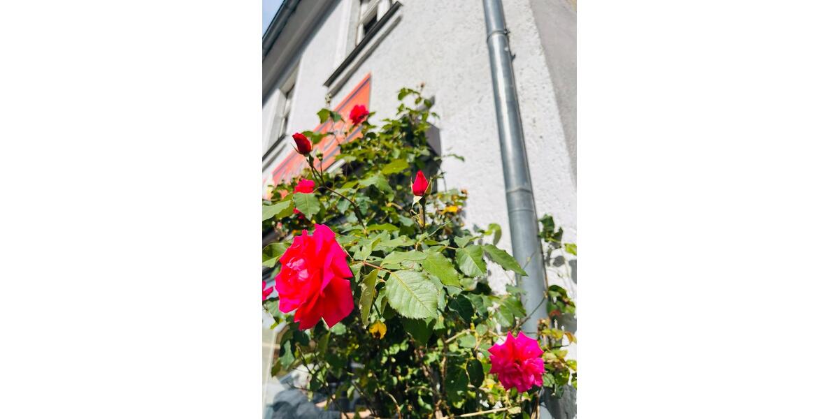 Wohnen auf Zeit Selb - 6 Zimmer, 140 m&sup2;, 360&euro; | Angebot:26228951