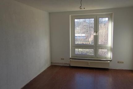 2-Raum-Wohnung für handwerklich begabte Mieter! 2 zimmer