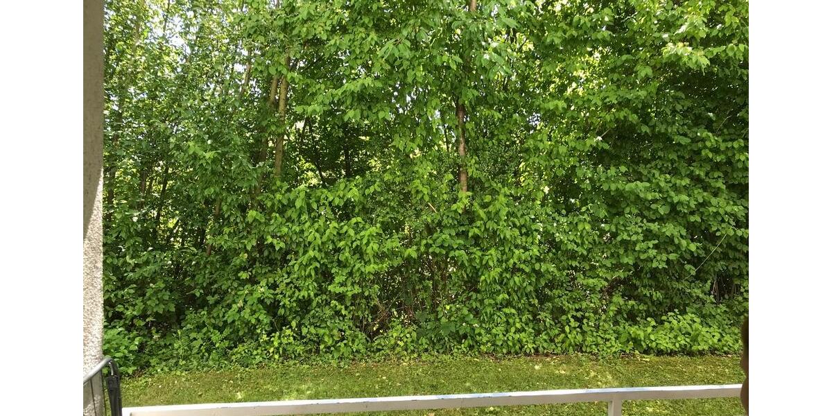 ALFELD, tolle Gelegenheit, 50qm, 2 ZKB teilmöblierte, mit Balkon 2 zimmer