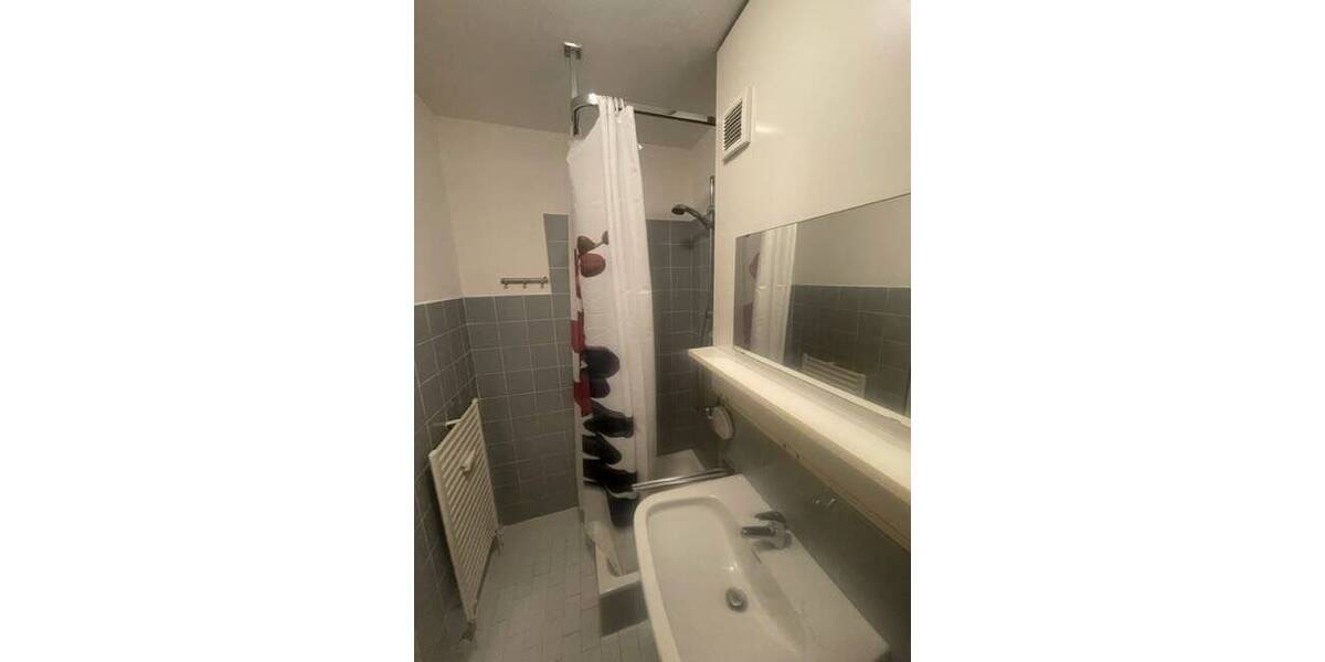 Etagenwohnung Freyung Geyersberg - 1 Zimmer, 40 m&sup2;, 265&euro; | Angebot:26170947