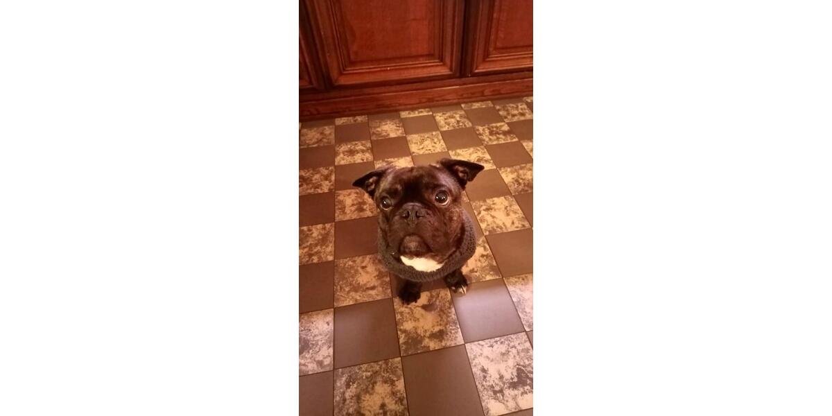 Wohnen auf Zeit Haselünne - 4 Zimmer, 100 m&sup2;, 374&euro; | Angebot:25963666