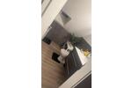 Dachgeschoßwohnung Hatzfeld (Eder) - 2.5 Zimmer, 90 m&sup2;, 650&euro; | Angebot:26611120