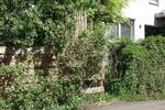 Wohnen auf Zeit Duderstadt - 1 Zimmer, 15 m&sup2;, 200&euro; | Angebot:26687055