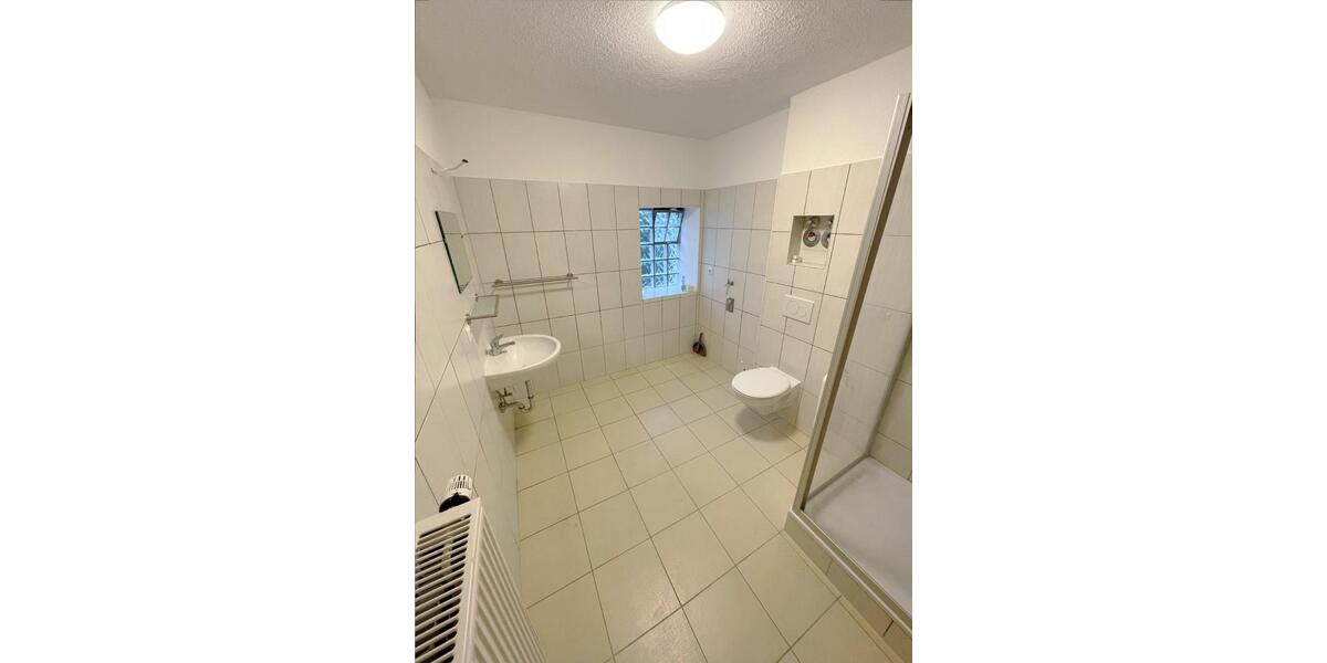 Helle 1-Zimmer-Wohnung ab sofort zu vermieten 1 zimmer