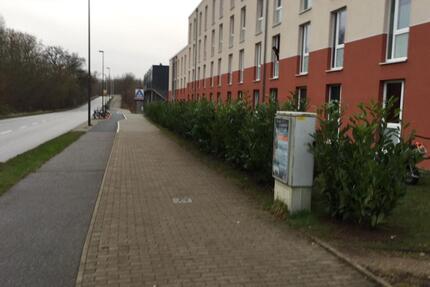 Wohnung Kiel Wik - 1 Zimmer, 18 m&sup2;, 350&euro; | Angebot:16657114