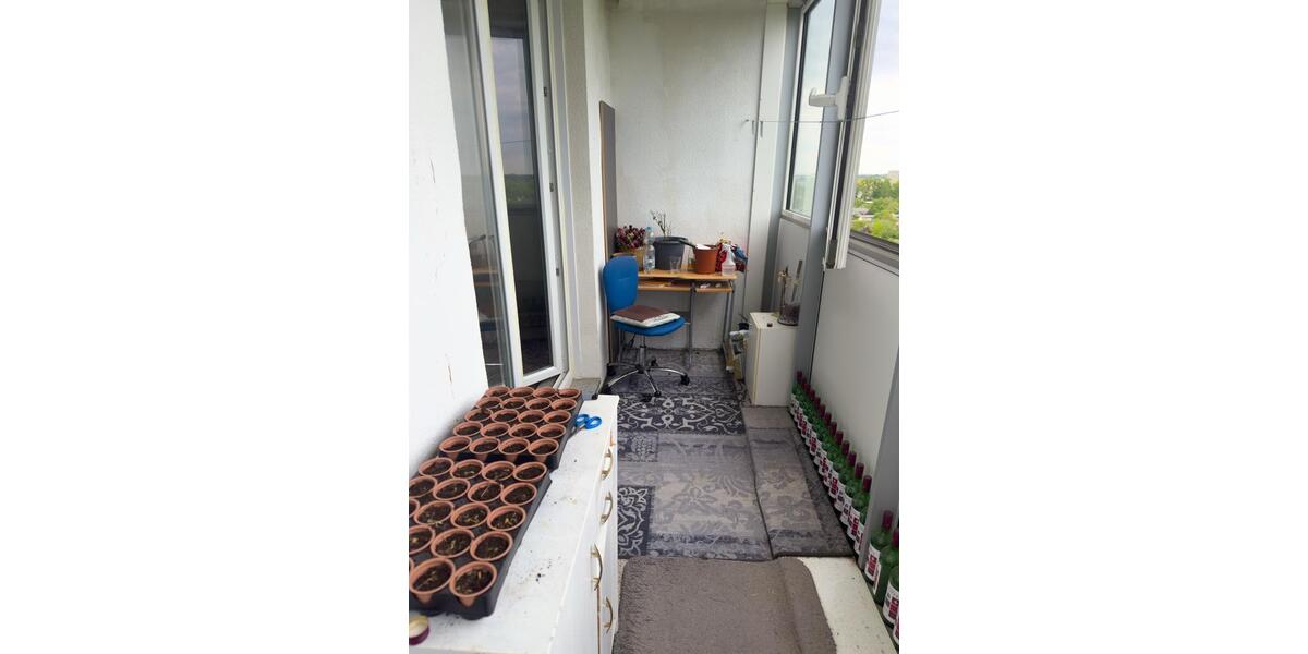 Etagenwohnung Cottbus - 1 Zimmer, 40 m&sup2;, 350&euro; | Angebot:26516536