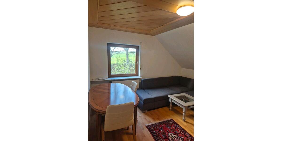 Dachgeschoßwohnung Wetter (Hessen) - 2 Zimmer, 50 m&sup2;, 700&euro; | Angebot:26272068