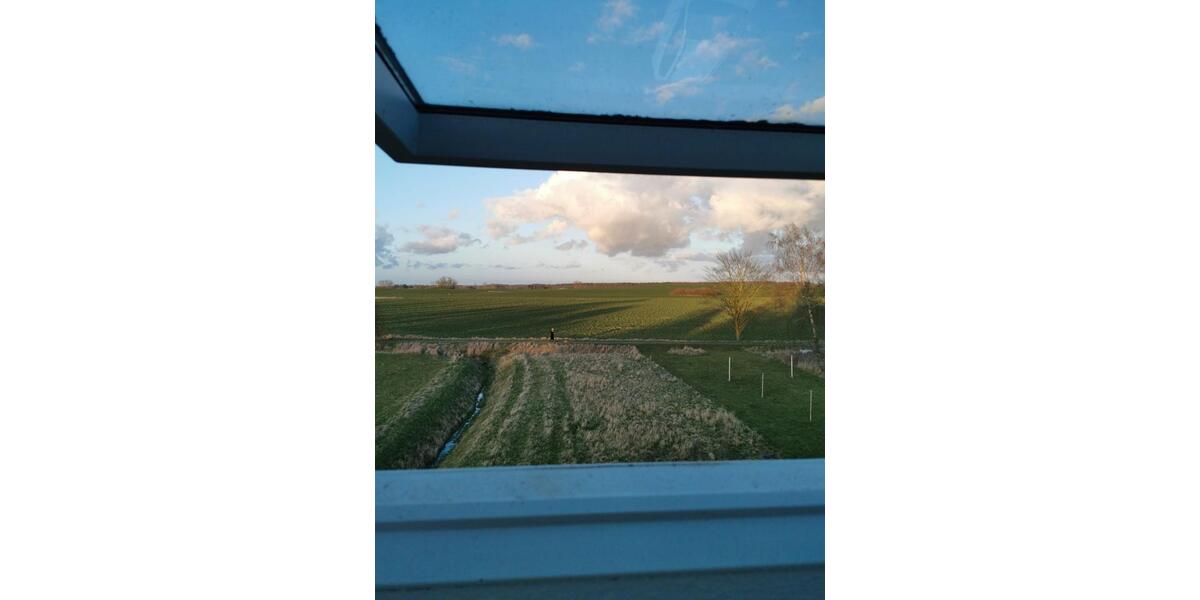 Dachgeschoßwohnung Rosenow - 1 Zimmer, 45 m&sup2;, 250&euro; | Angebot:26272861