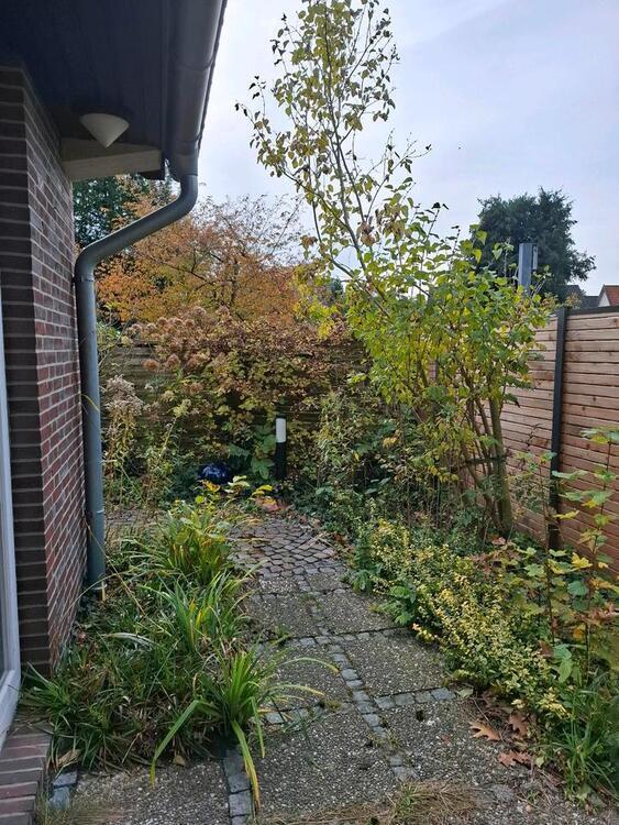 Mietwohnung mit eigenem Zugang zimmer