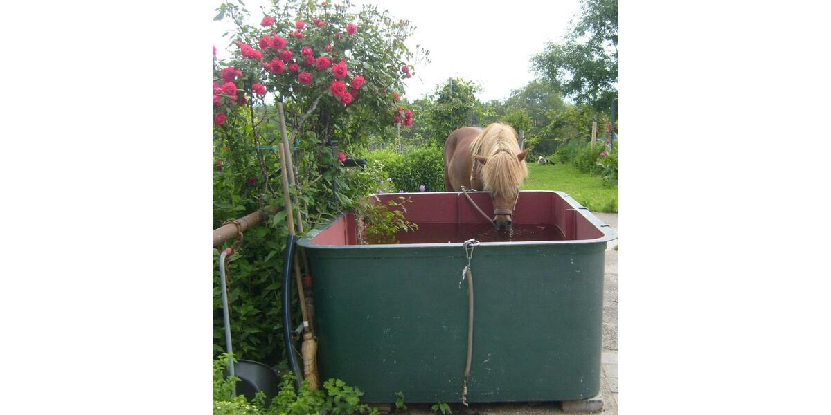 Etagenwohnung Rückholz - 1 Zimmer, 34 m&sup2;, 290&euro; | Angebot:26023268