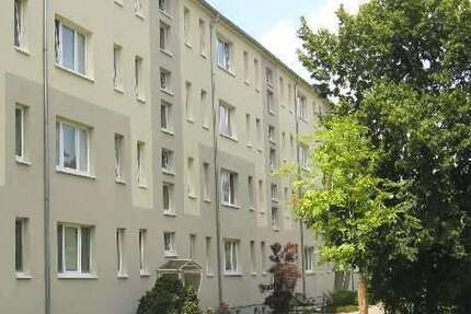 Wohnung Wurzen Altstadt - 2 Zimmer, 46 m&sup2;, 310&euro; | Angebot:26515493