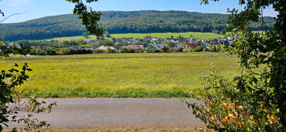 Gewerbeobjekt Eichenzell - 850&euro; | Angebot:26042618