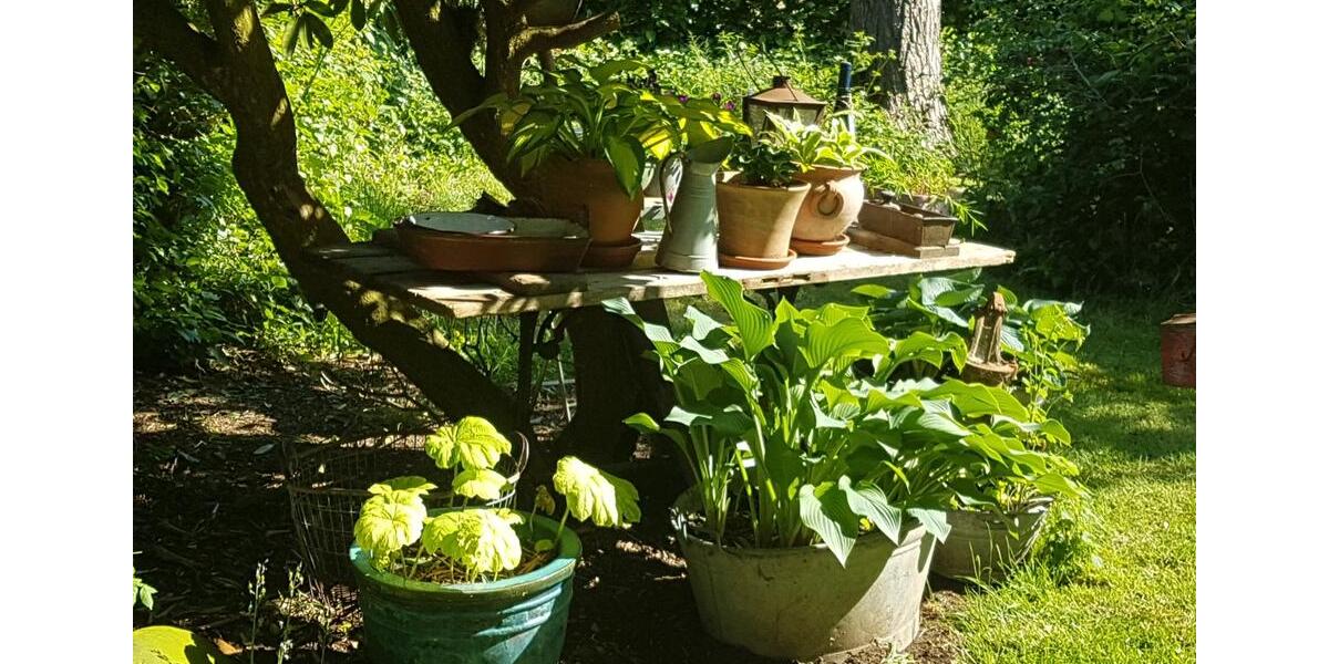 Wohnen auf Zeit Wrist - 5 Zimmer, 120 m&sup2;, 40&euro; | Angebot:21692169