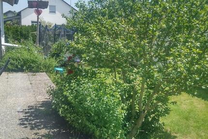 Wohnung Bad Saulgau - 5 Zimmer, 150 m&sup2;, 1.100&euro; | Angebot:25995018