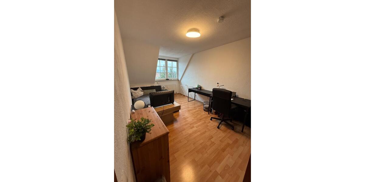 Wohnen auf Zeit Eppelheim - 1 Zimmer, 20 m&sup2;, 350&euro; | Angebot:26145890
