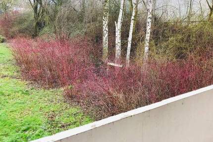 EINZIEHEN & WOHLFÜHLEN: Tolle 2-Zimmer Wohnung mit Wannenbad 2 zimmer