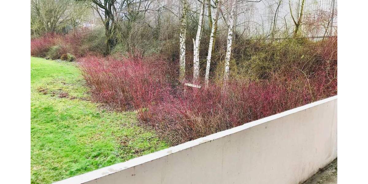 EINZIEHEN & WOHLFÜHLEN: Tolle 2-Zimmer Wohnung mit Wannenbad 2 zimmer