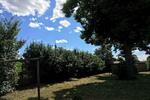 Wohnen auf Zeit Tarnow - 14 Zimmer, 300 m&sup2;, 15&euro; | Angebot:10740825