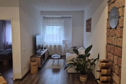 Wohnung Kaiserslautern - 2 Zimmer, 50 m&sup2;, 600&euro; | Angebot:24509760