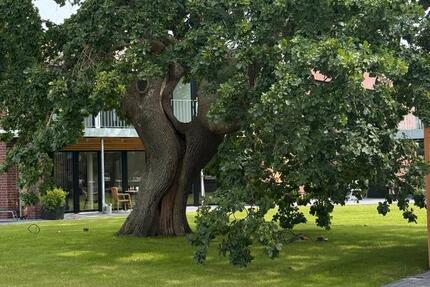 Neubau Wohnung in Niebüll zu vermieten 3 zimmer